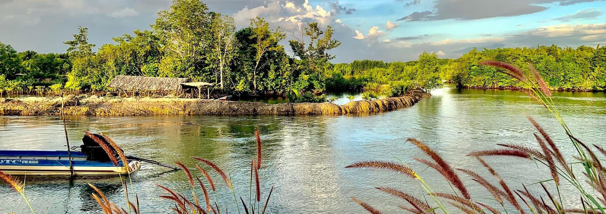 Khám phá Du lịch cộng đồng Thiềng Liềng: Viên ngọc sáng giữa lòng Cần Giờ