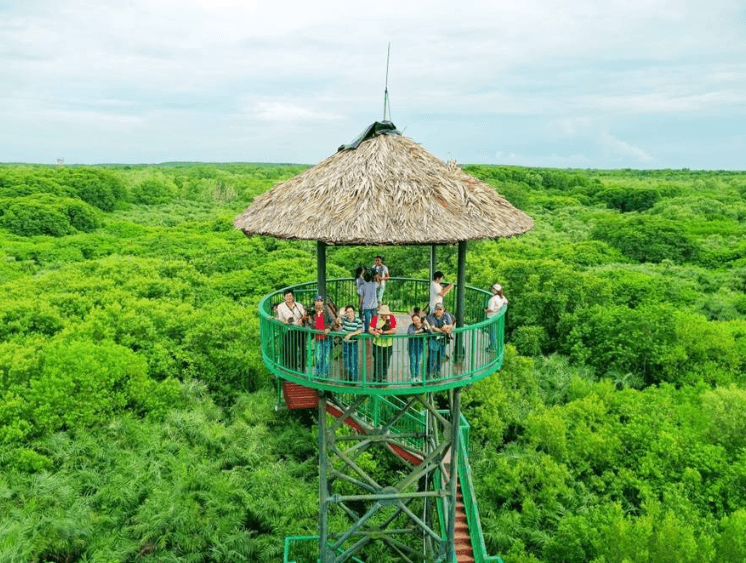Rừng Sác Cần Giờ - Điểm đến Hoang Dã đầy hấp dẫn